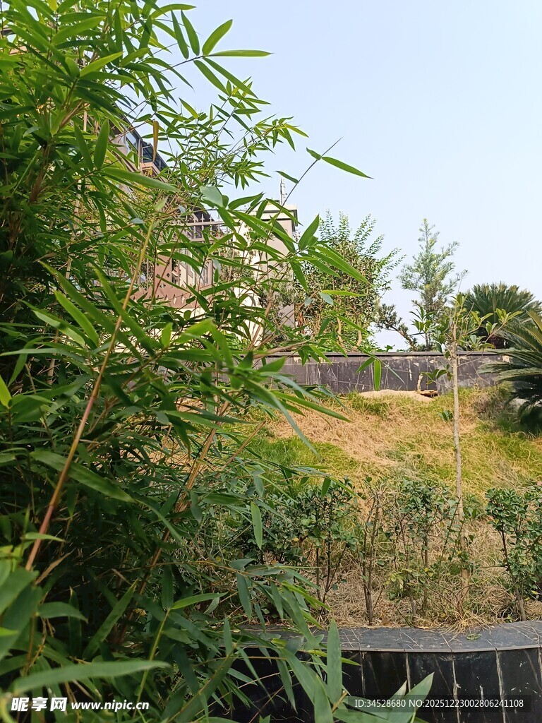 户外绿植环绕的自然景致