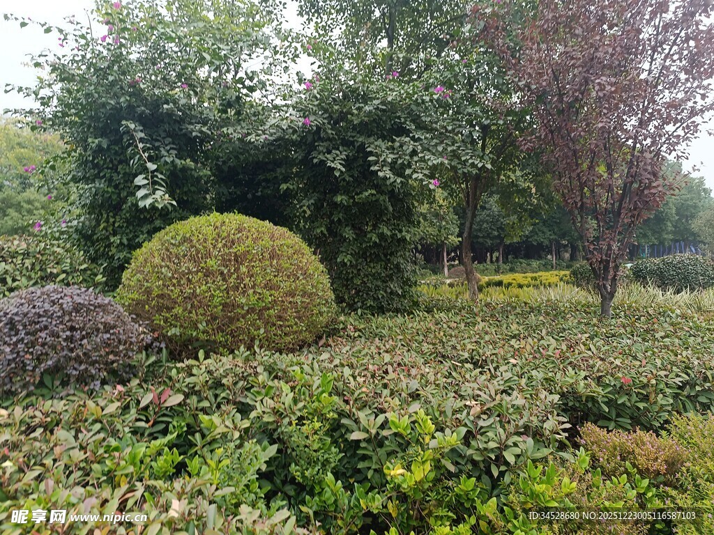 园林景观中的精致绿植造型