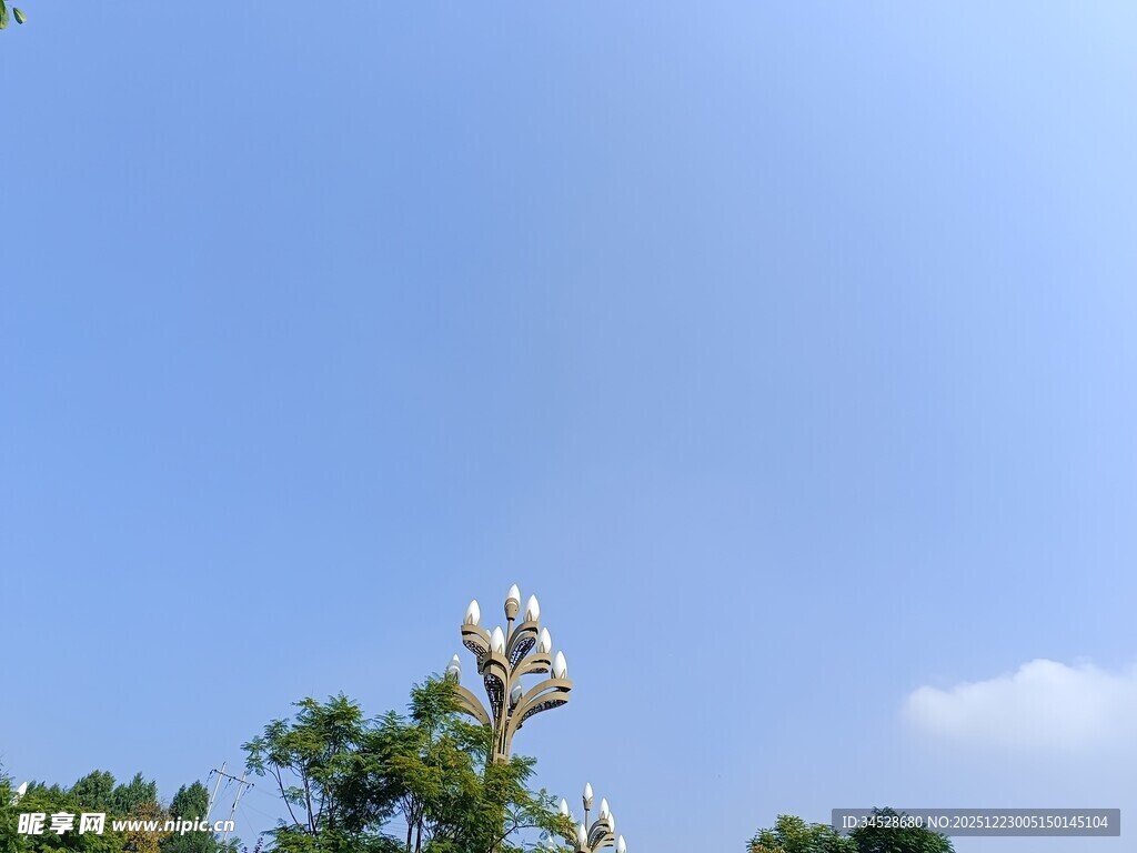 蓝天绿叶间的清新景致