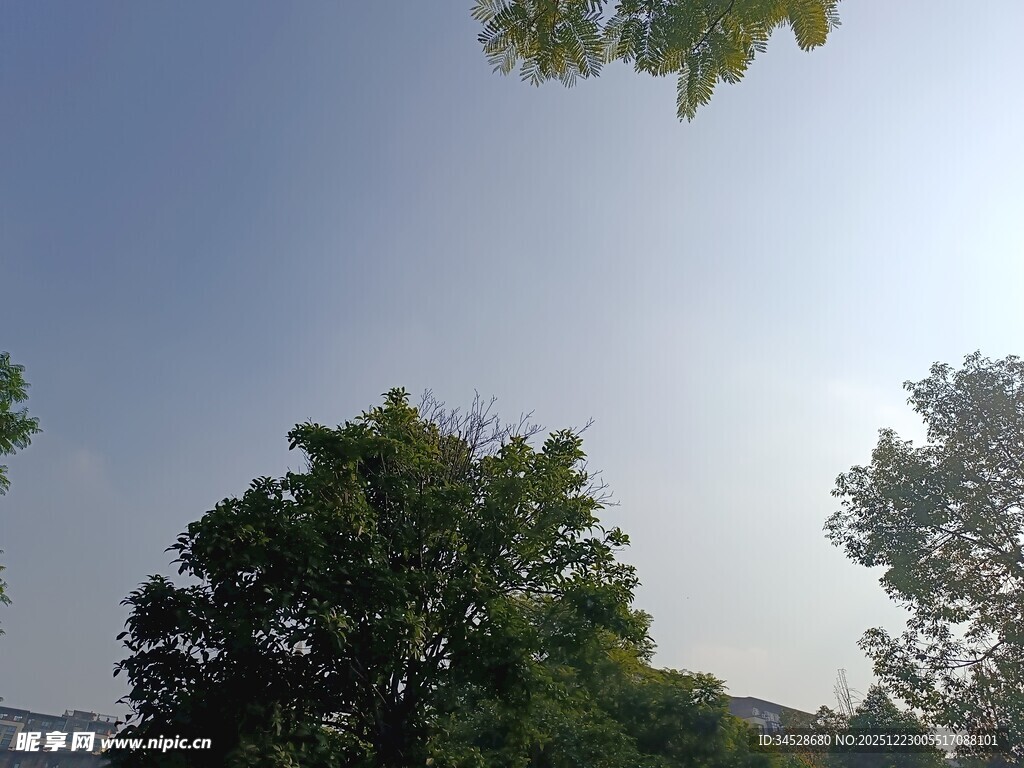 绿树蓝天的清新景致