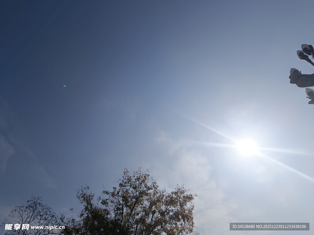 晴朗天空下的阳光与树木
