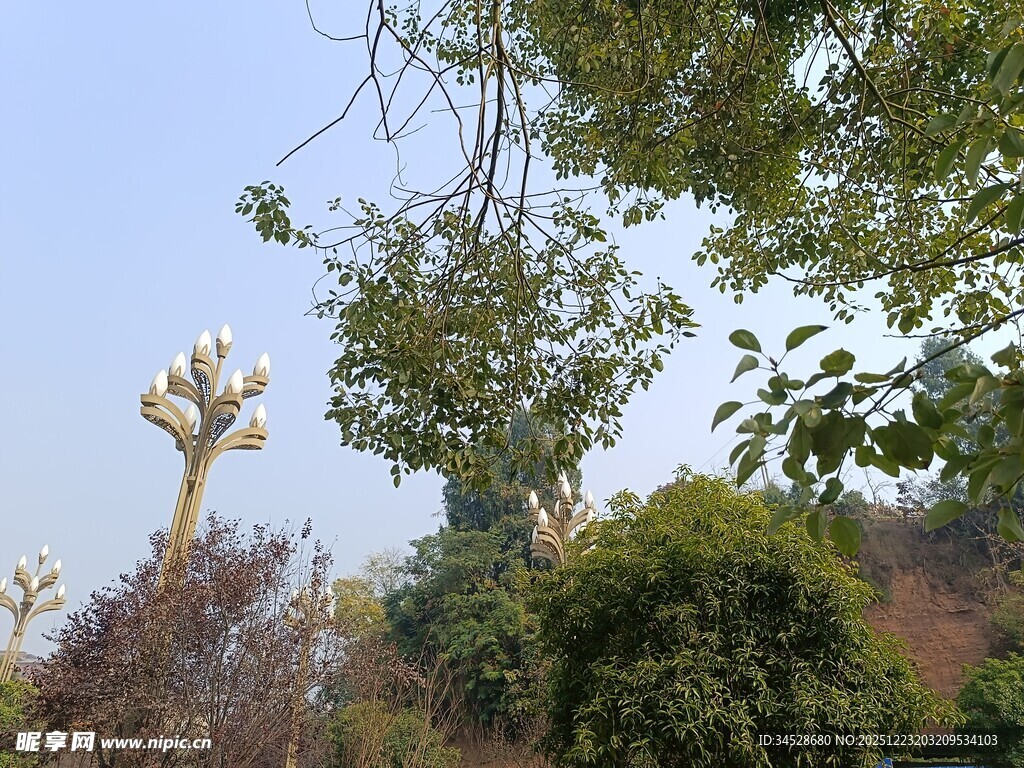 户外繁茂绿植景观