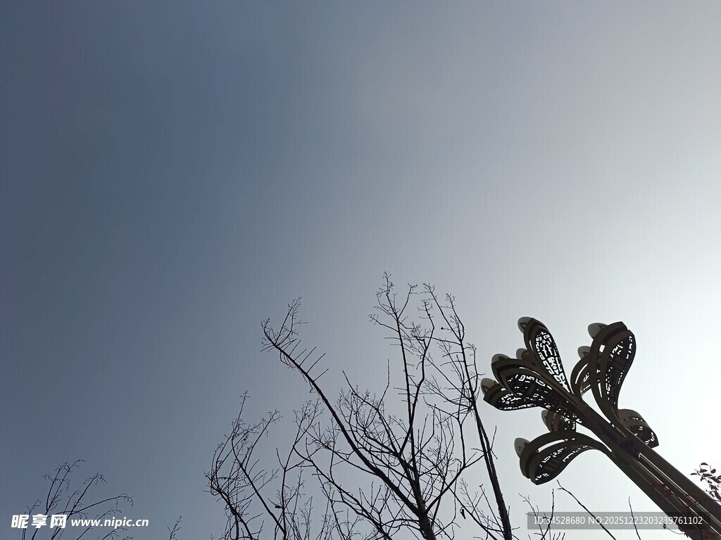 枝头鸟儿伴蓝天