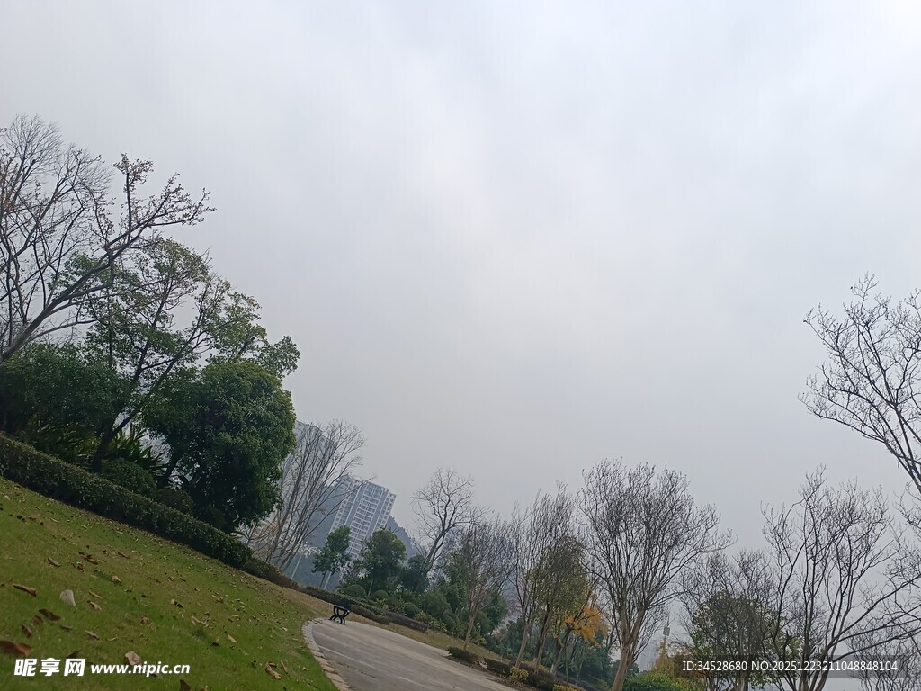 城市公园中的静谧风景