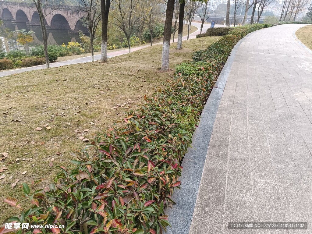 城市路边绿化带景观