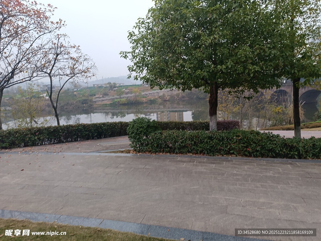 户外宁静的绿化景观区域