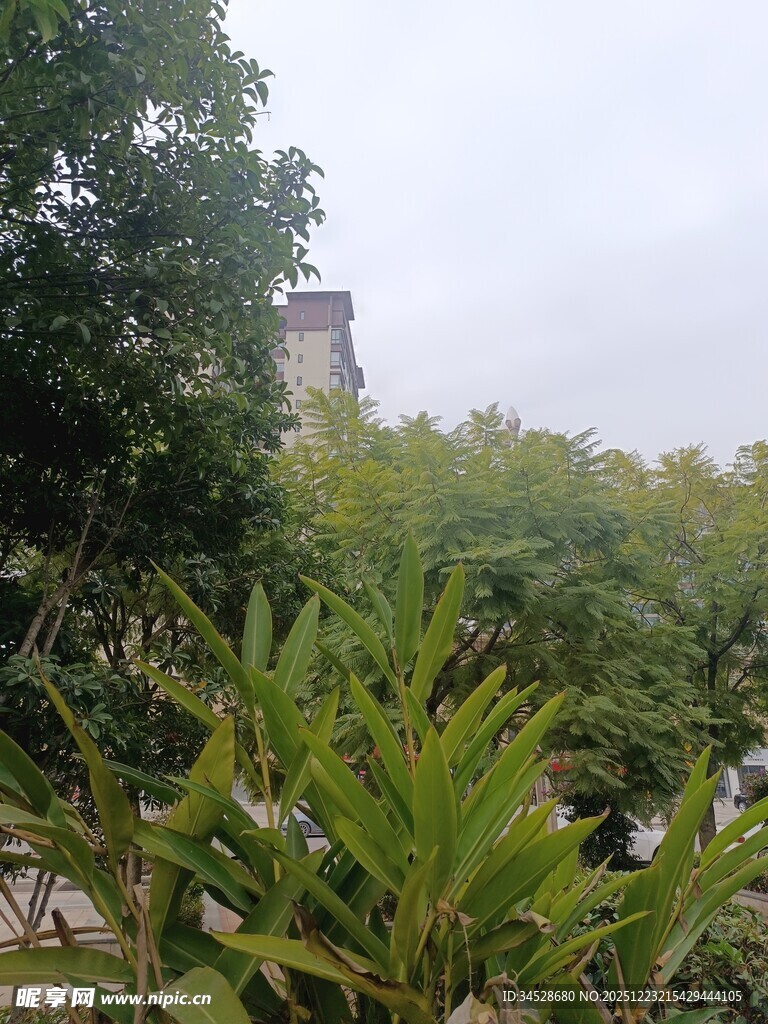 绿植环绕中的建筑一角