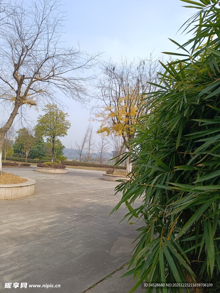 户外公园的绿植与开阔场地