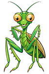 可爱卡通螳螂形象