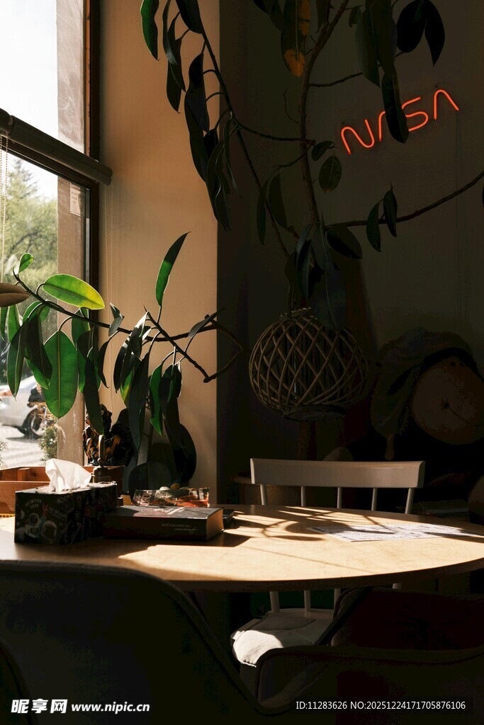 室内绿植装点的温馨角落