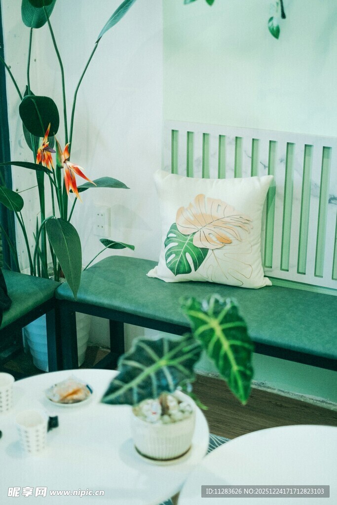 清新绿植装点的室内角落