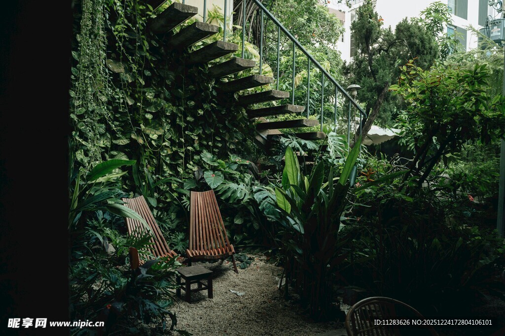 室内绿植环绕的幽静小径