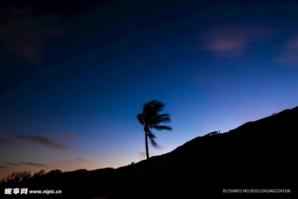夜幕下的孤树剪影