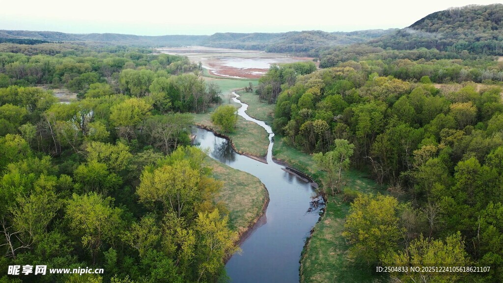 蜿蜒河流穿林而过