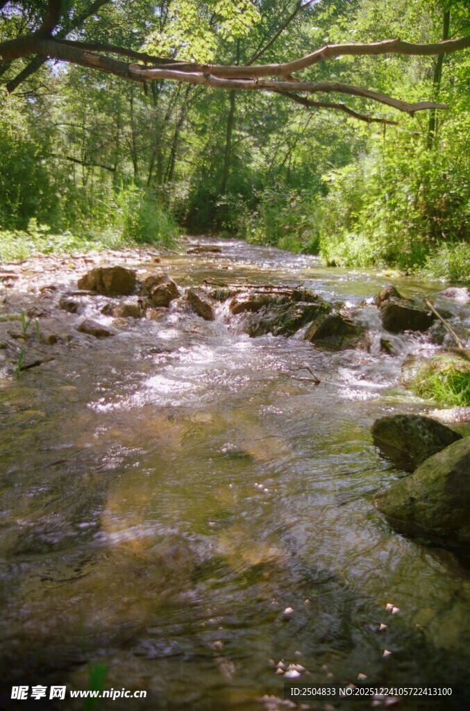 林间溪流潺潺