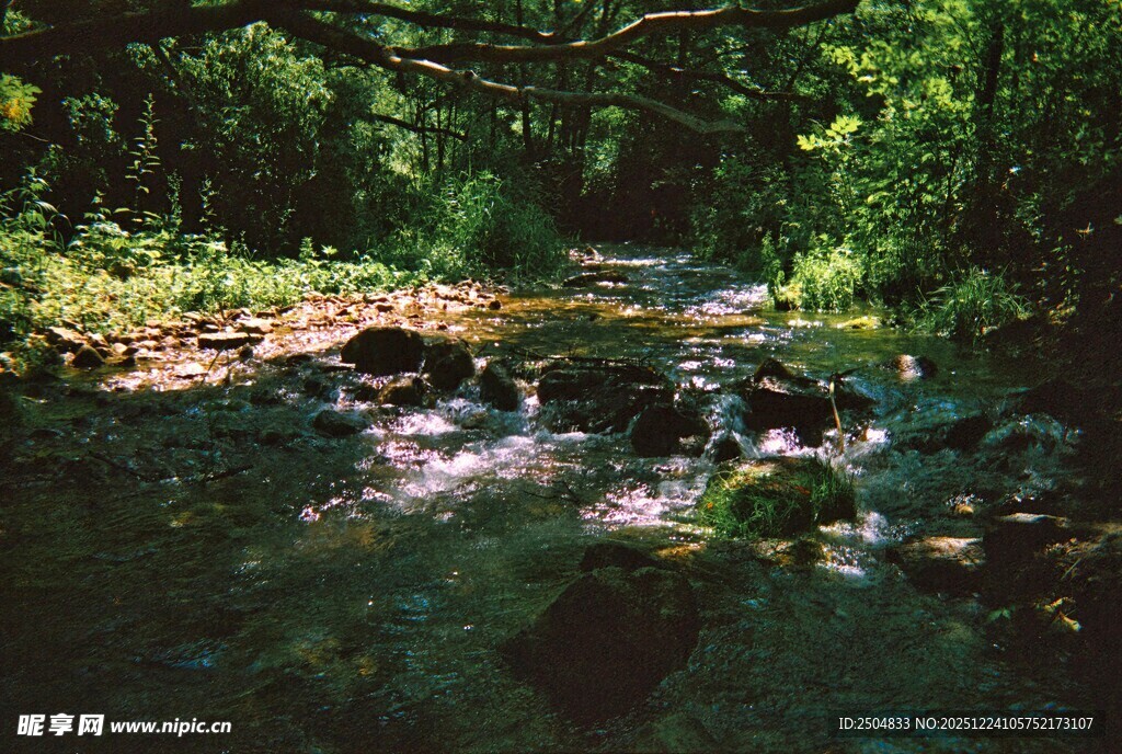 林间溪流 绿意盎然的自然景