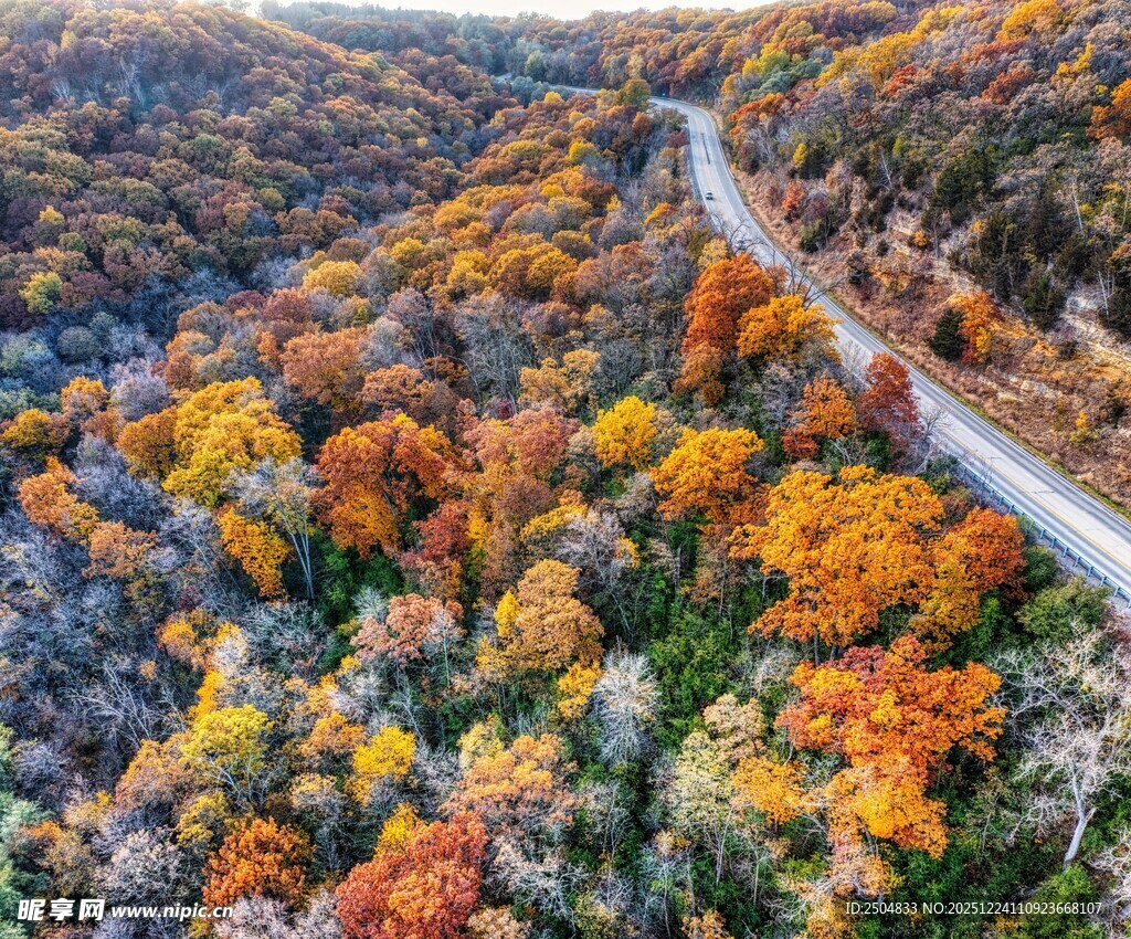 秋日山林蜿蜒公路美景
