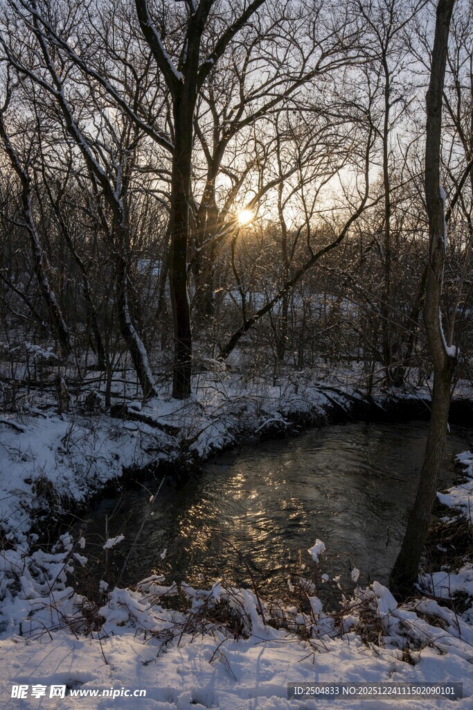 冬日雪后溪边树林美景