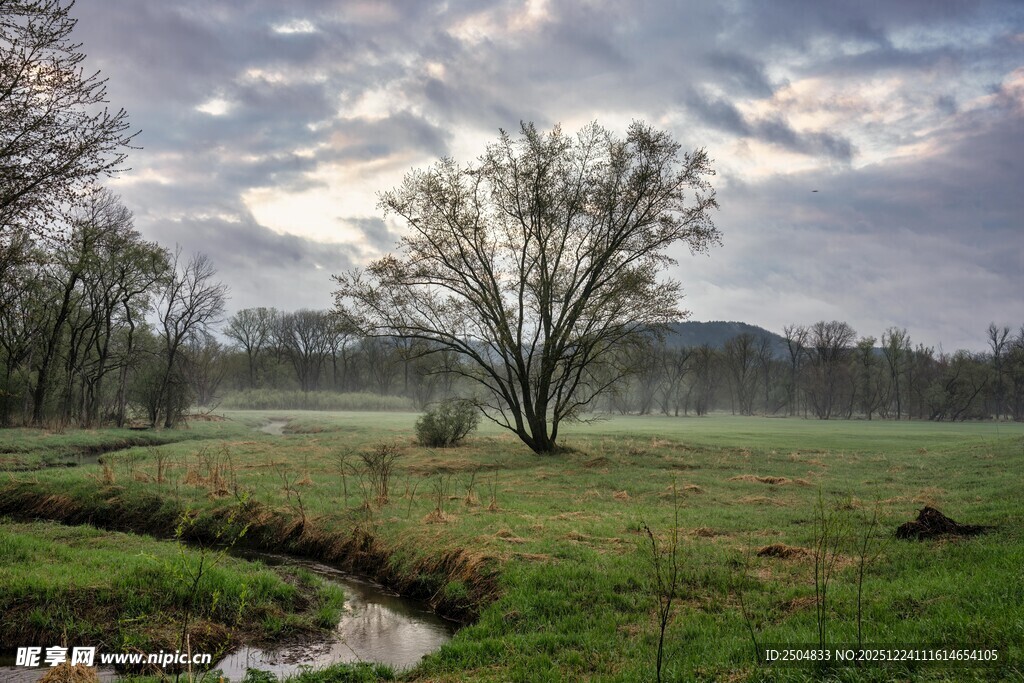 田园晨景 静谧自然之美