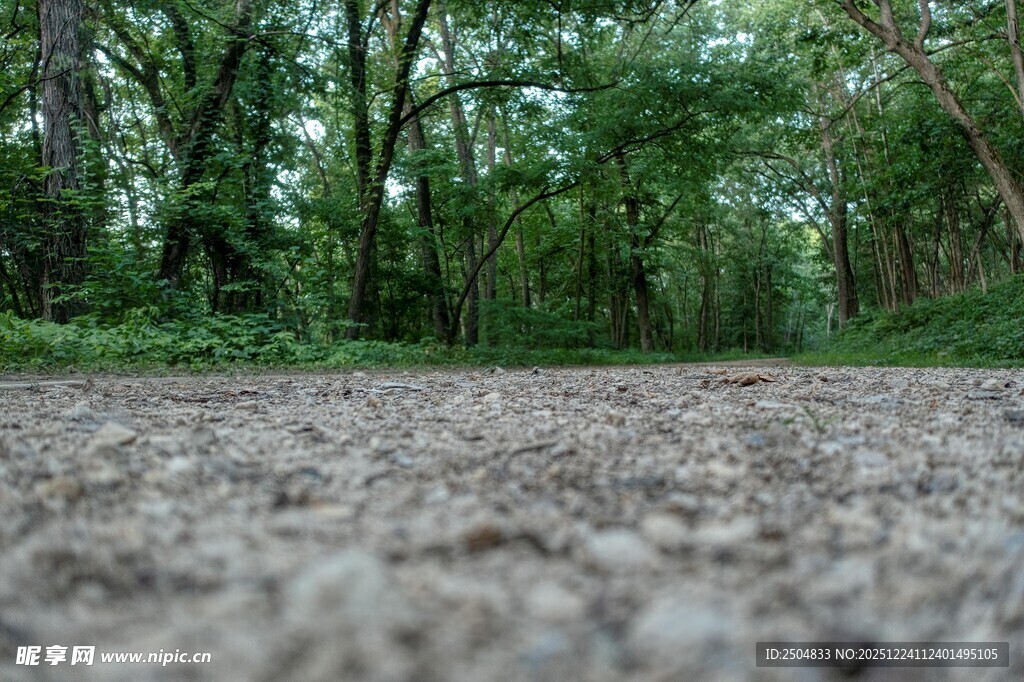 林间碎石小径