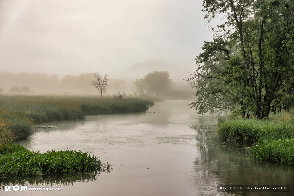 晨雾中的静谧河畔风光