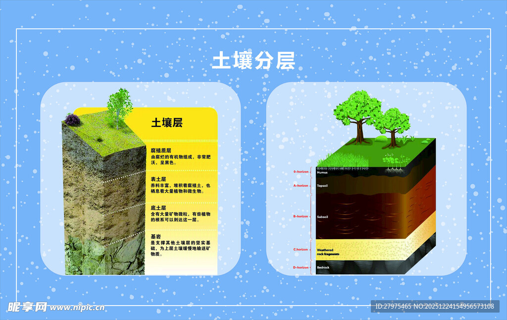 土壤分层示意图