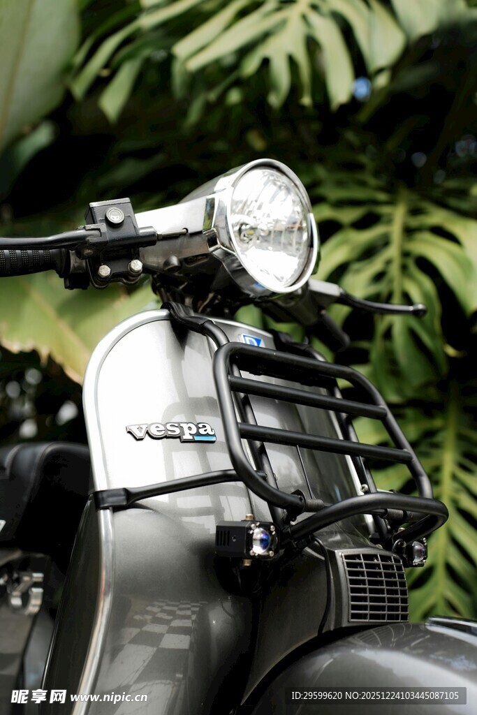 复古摩托车与热带绿植搭配