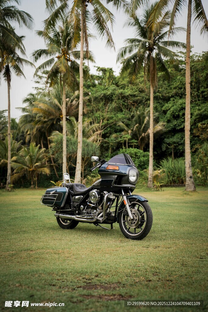 草地椰林下的酷炫摩托车