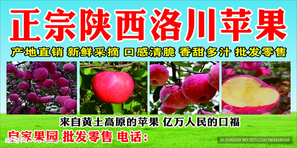 正宗陕西洛川苹果