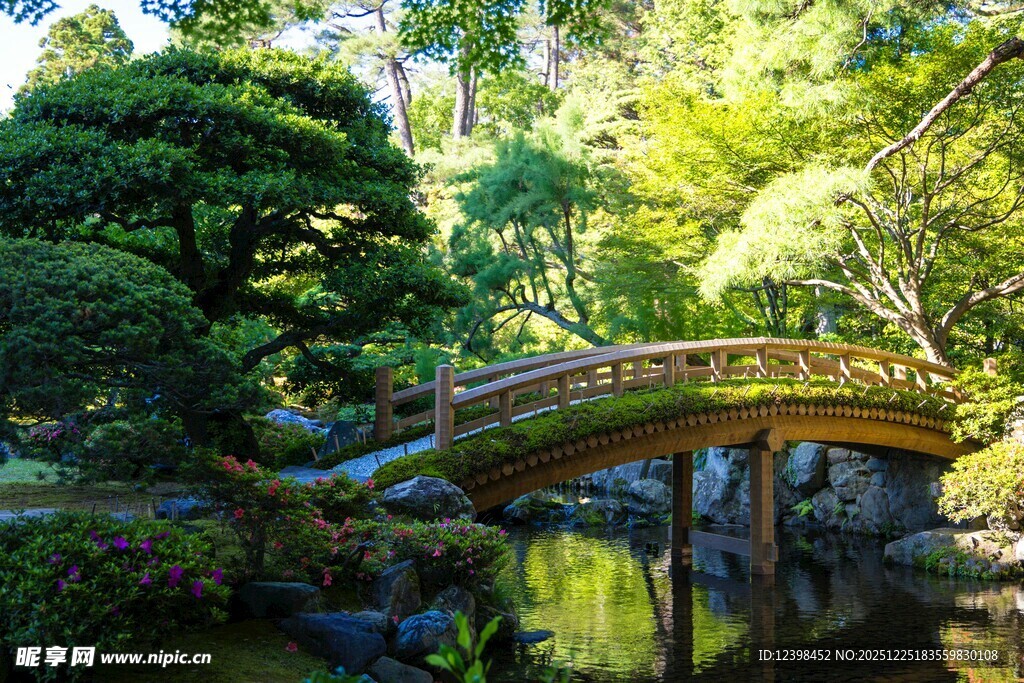 日式园林中的精致小桥