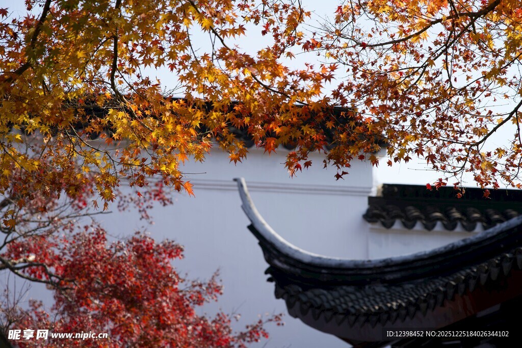 秋日湖畔古亭美景