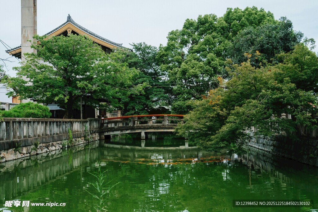 中式园林池塘畔清幽景致