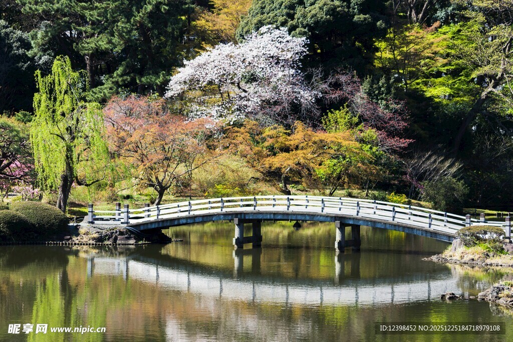日式园林中的雅致石桥
