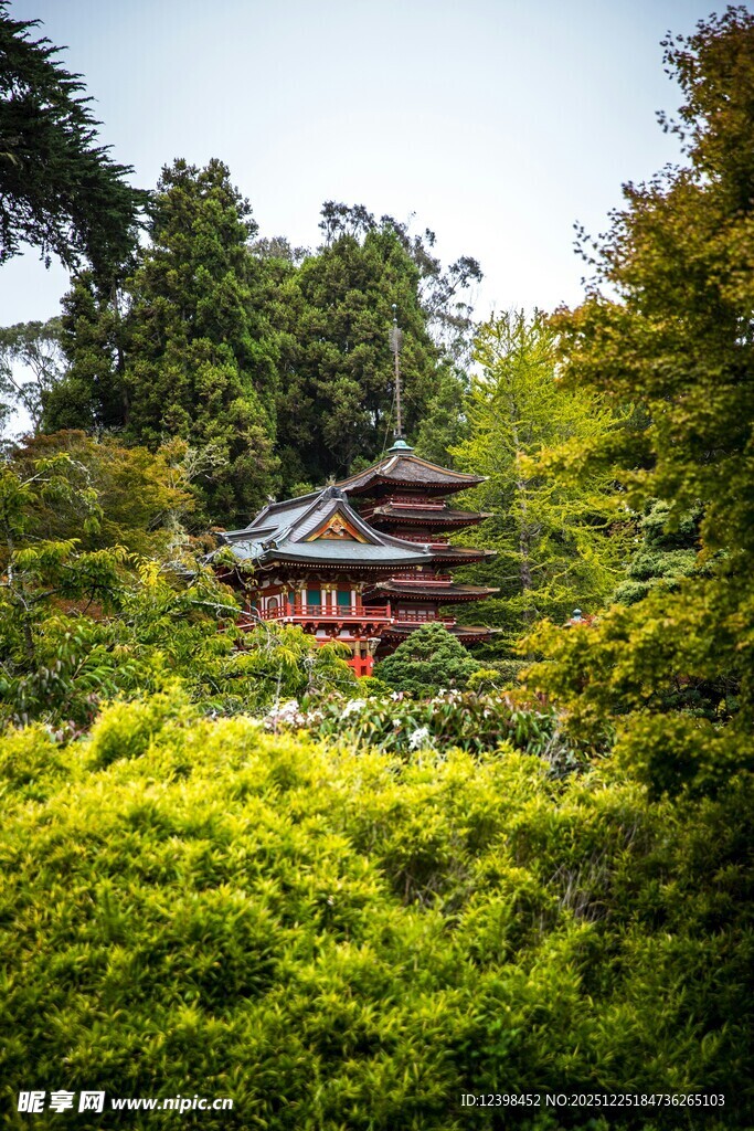 山林中的古朴中式建筑