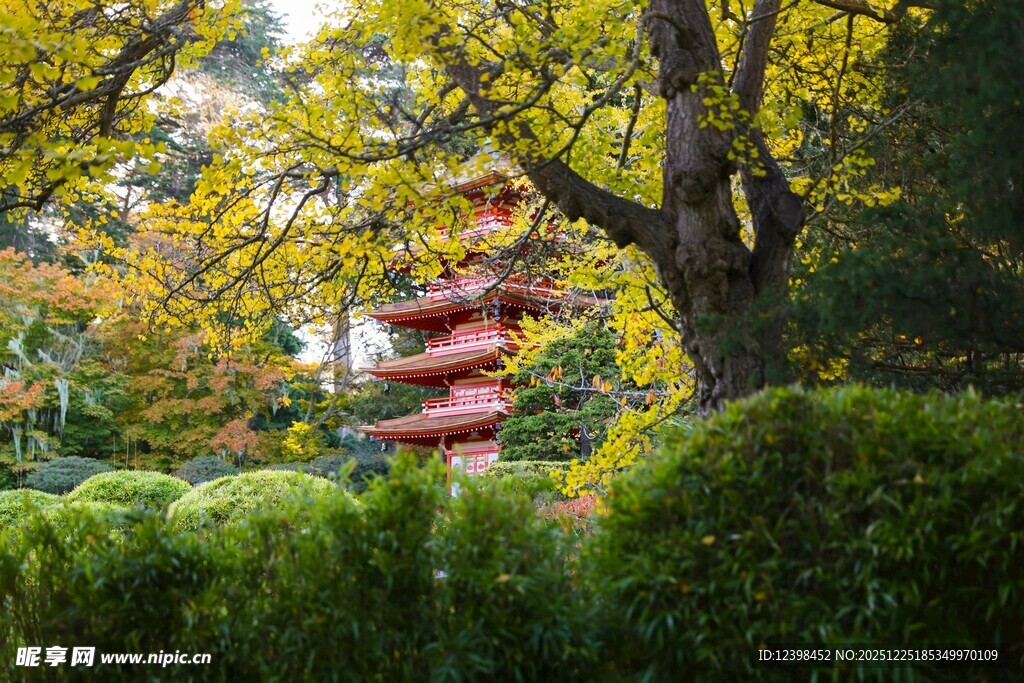 秋日园林中的红塔景致