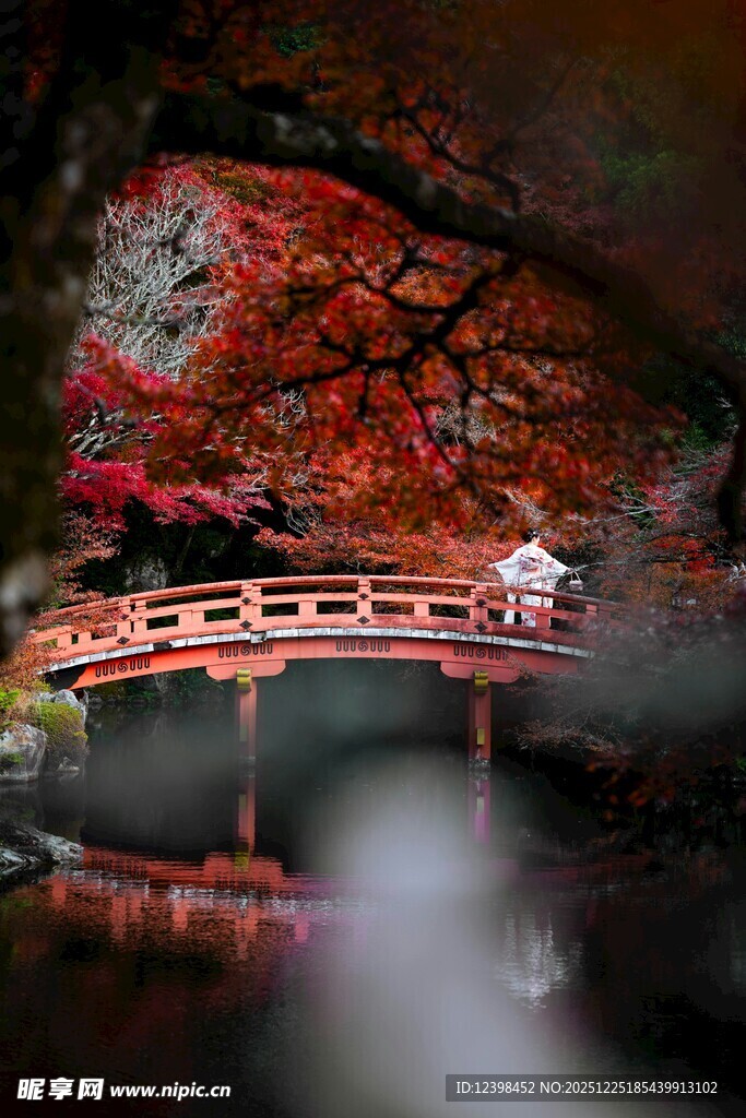 红叶下的古风桥畔景致