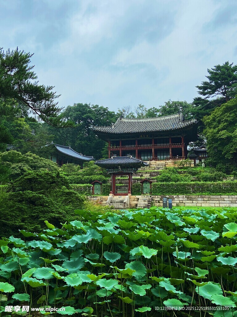 中式园林荷塘古建筑美景