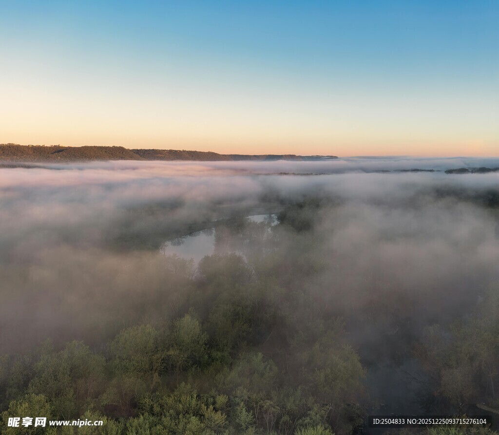 晨雾笼罩的森林美景