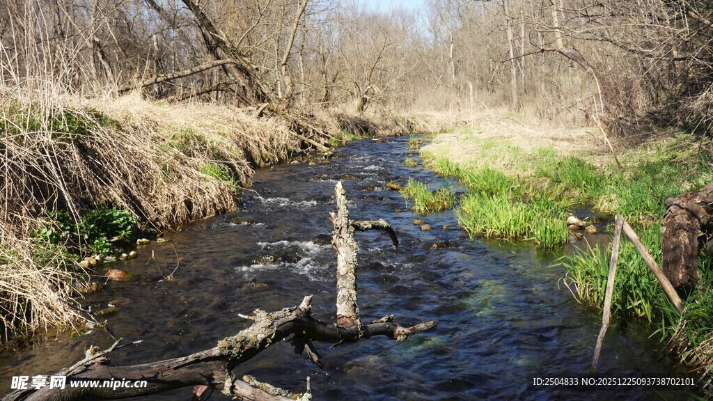 春日溪边自然景致
