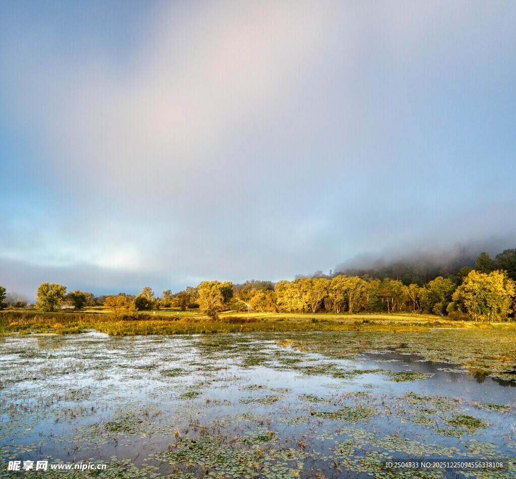 湖畔晨光中的湿地美景