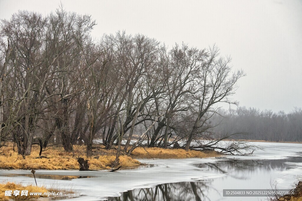 冬日河畔萧瑟景象