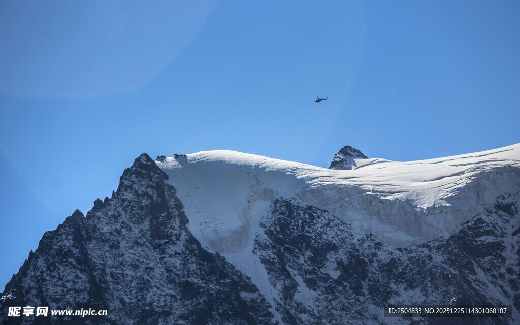 雪山之巅的飞鸟