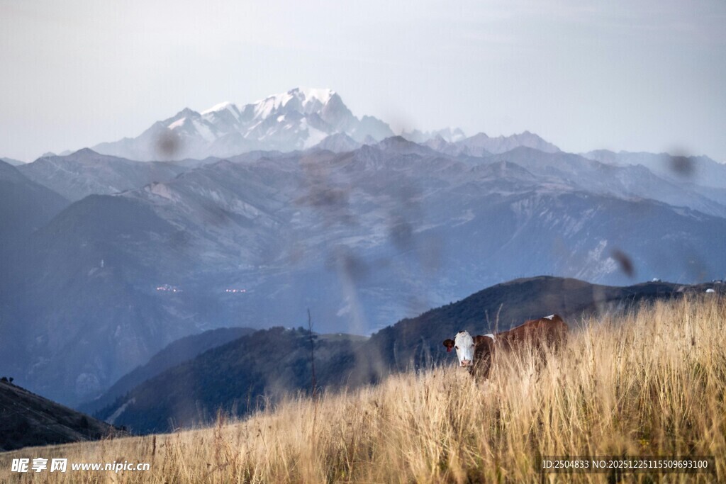 山间漫步赏壮丽雪山景色