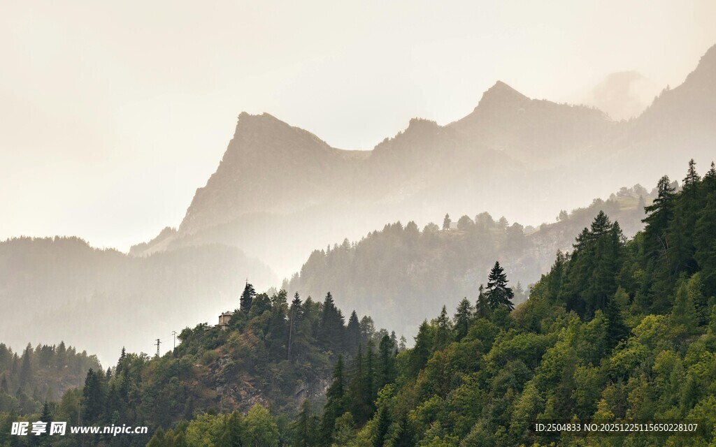 山间晨雾中的葱郁山林