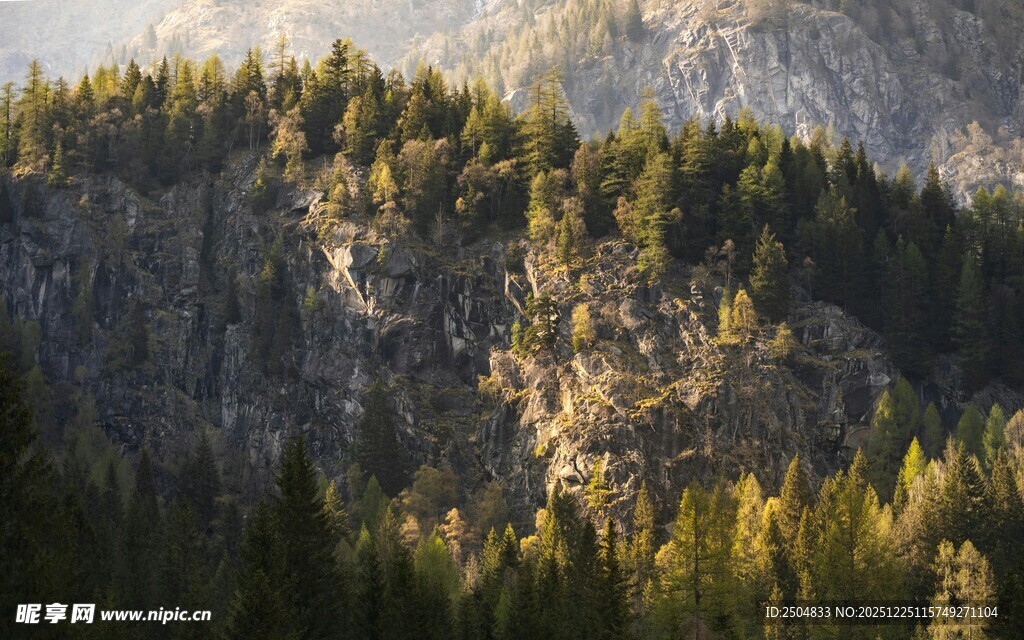 山林美景 阳光洒落绿意浓