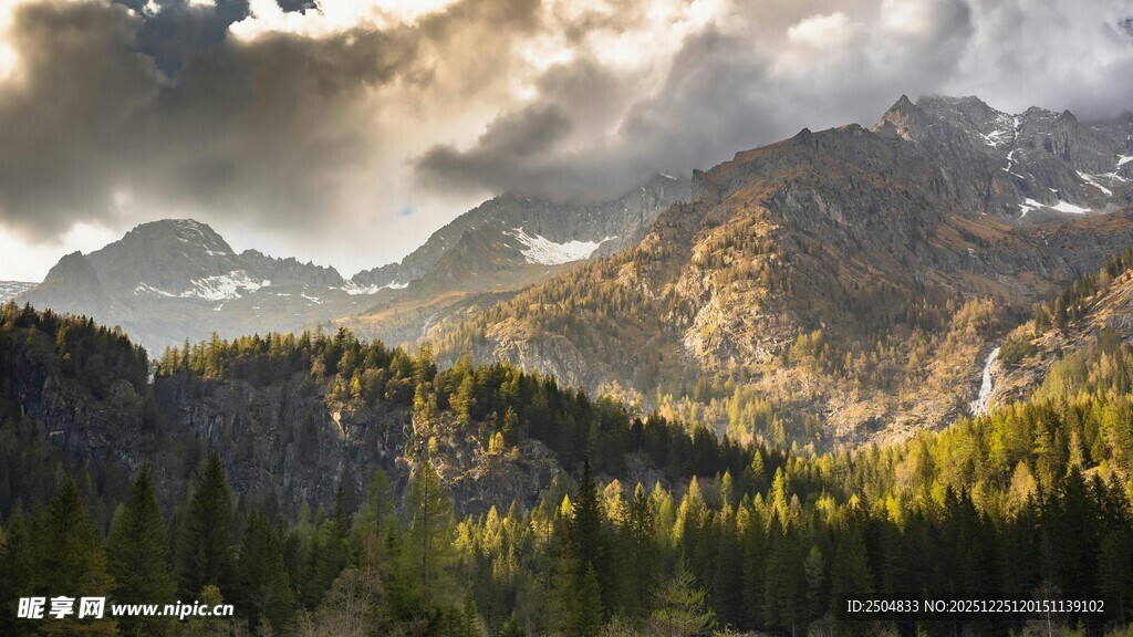 山间晨景 云雾缭绕山林