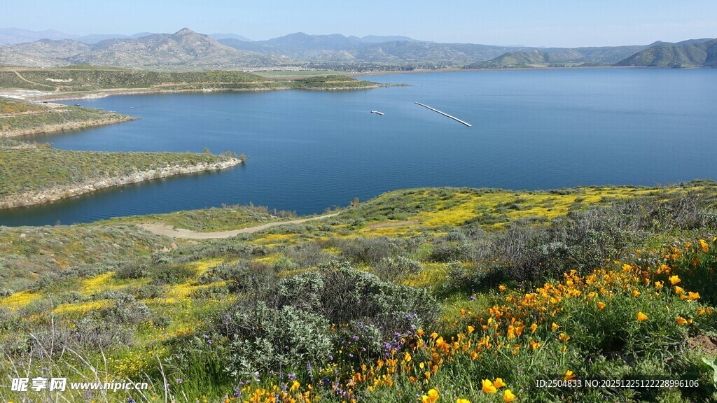 湖畔美景 繁花点缀青山
