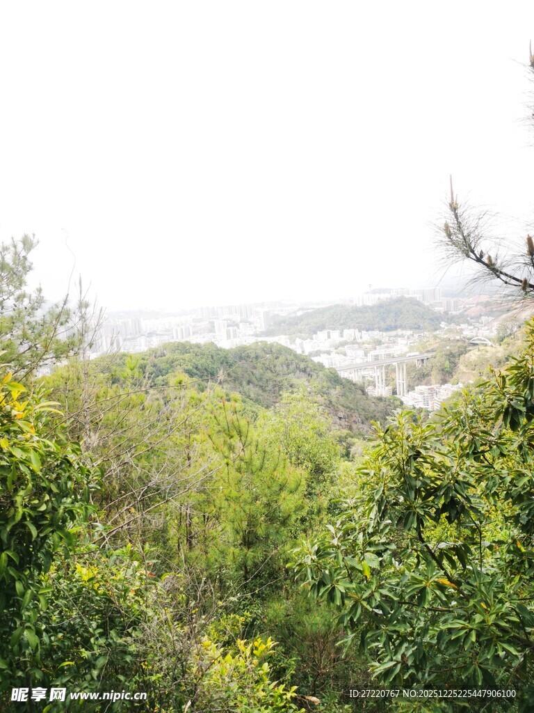 山林间的朦胧远景