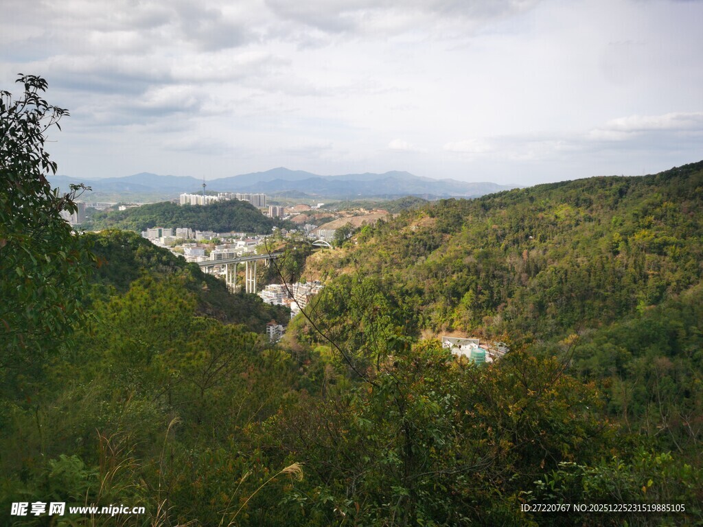 山间绿意盎然的美丽景致