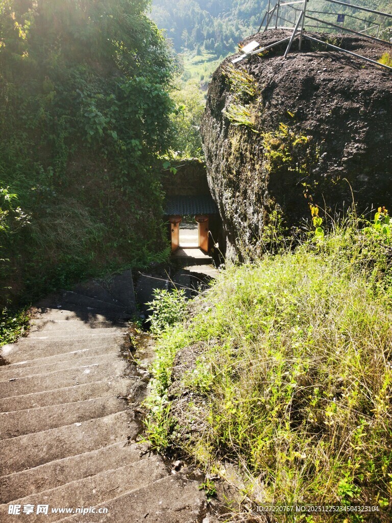 山间石阶旁的自然景致